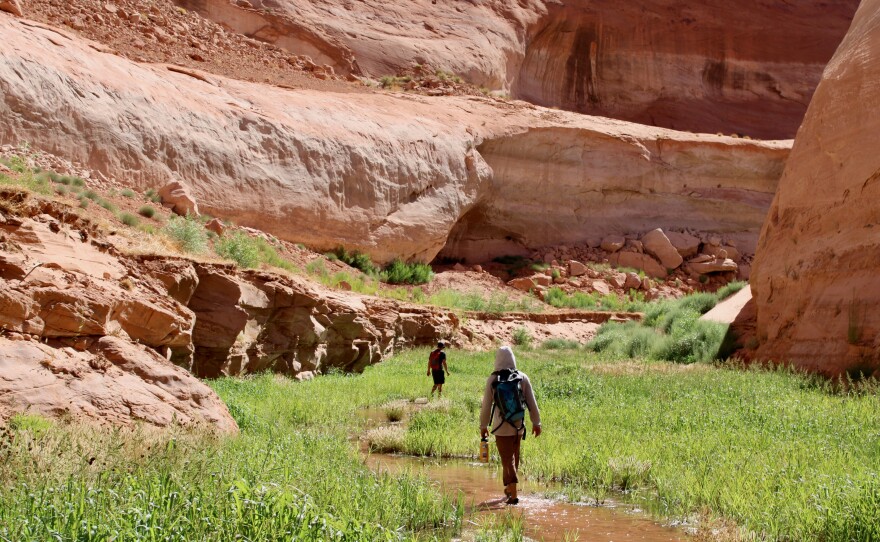 Two people wearing backpacks walk through a lush, narrow meadow of green grass with towering orange and red cliffs on either side