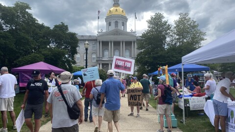 People gathered in front of the state house as part of "Good Trouble" day of protests